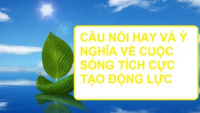 Những câu nói hay ý nghĩa truyền động lực tích cực trong cuộc sống