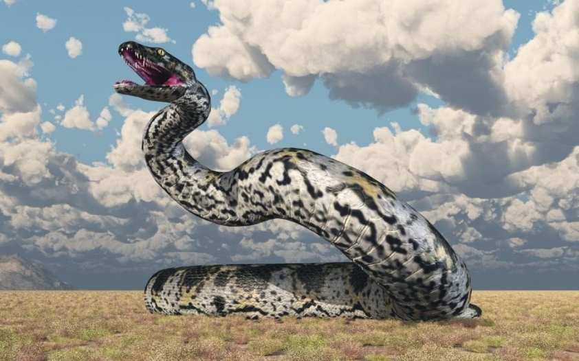 Phát hiện hóa thạch rắn lớn nhất thế giới, vượt xa kích thước bạo chúa T-Rex